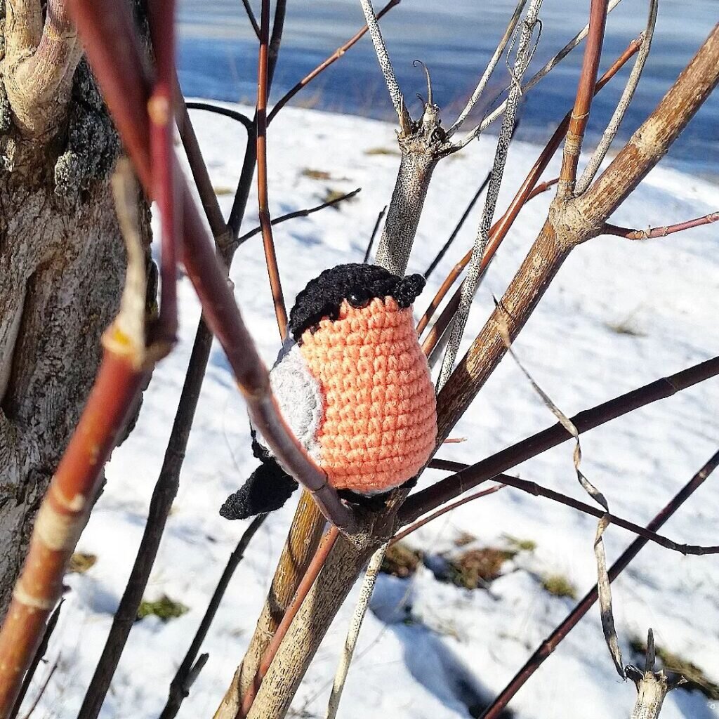 Amigurumi Bullfinch Free Pattern 4