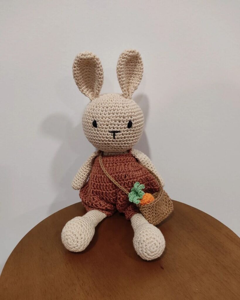 Amigurumi Bunny İn Pants Free Pattern 1