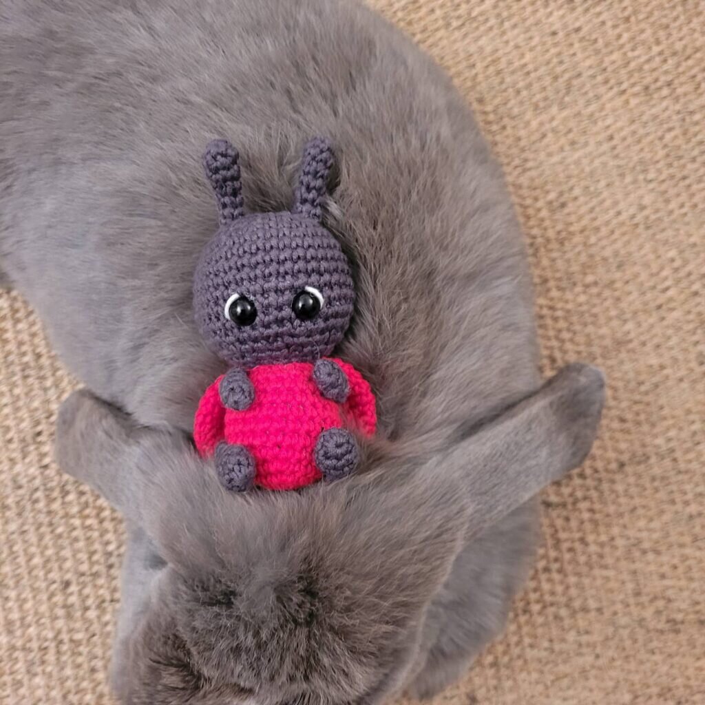 Amigurumi Ladybug Free Pattern 3