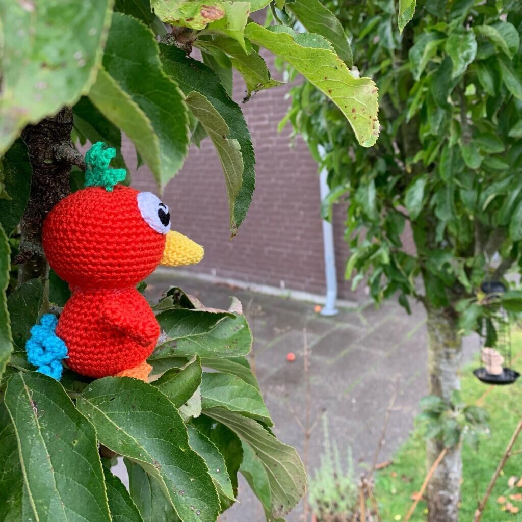 Amigurumi Parrot Free Pattern 6