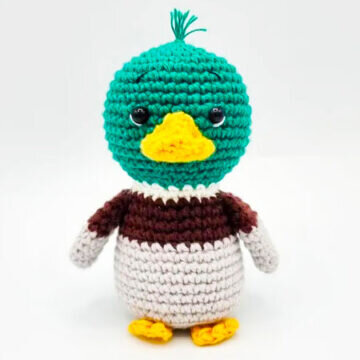 Green Duck Knitting Toy Free Pattern